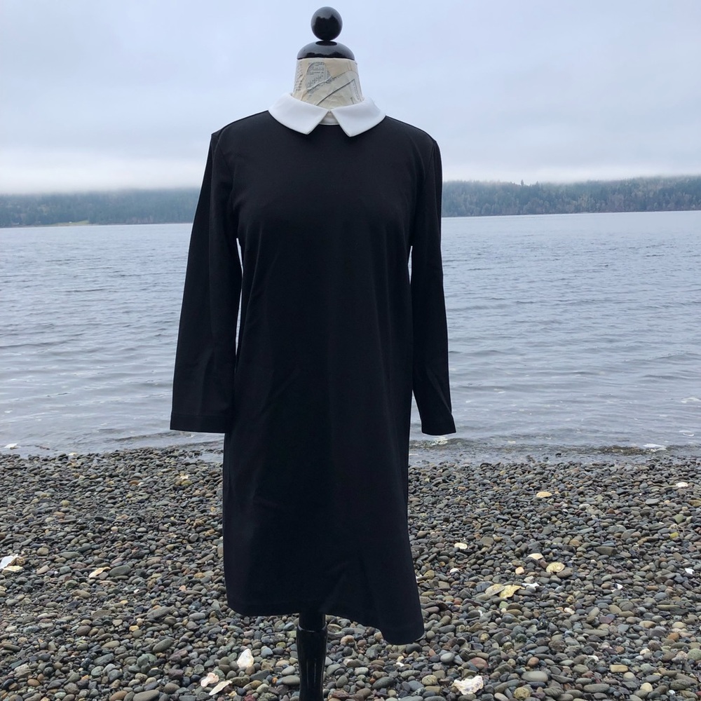 SOLD Black Dress With White Collar - Picture 2 of 9